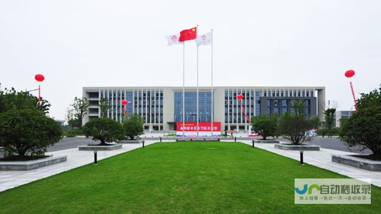 泰州专业SEO服务：精准定位客户群体，实现网站流量增长