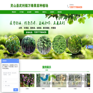 灵山县武利镇万锋果苗种植场